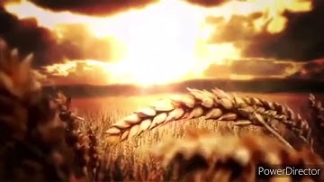 تلاوة عطرة من صلاة الفجر الشيخ محمد مصراوي حفظه الله  {آيات من سورة التوبة}