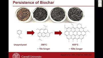 Biochar: An ICRLP Explainer Video