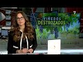 CyLTV Noticias 20:00 horas (03/05/2024)