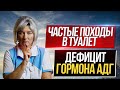 Дефицит АДГ - одна из причин частых ночных мочеиспусканий. Жаль, что не все об этом знают