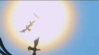 timon and pumbaa save Simba (old and live action)