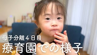 【療育4日目】給食を毎日おかわりして元気すぎるダウン症娘お姉ちゃんの大好きなはま寿司をテイクアウト