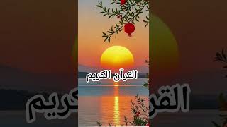 Quran Recitation In Urdu Translation❣️#love #quran #islamicshorts #islamicvideo #shorts