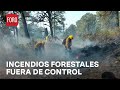 Devastación por incendios forestales en México - Las Noticias