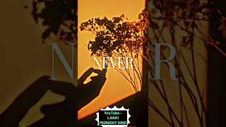 Golden Brown by The Stranglers #goldenbrown #lakki #midnight #king #lakkimidnightking
