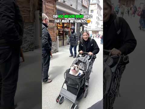 The 100 Million Views Video That Made Me Famous Pet Dog Funny