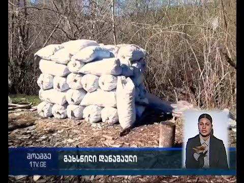 საგარეჯოსთან კუსტარულად მოწყობილი სანახშირე აღმოაჩინეს