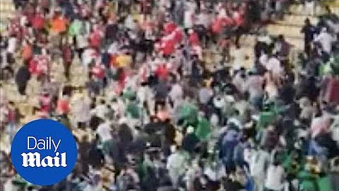 Massive brawl breaks out between soccer fans in Columbia