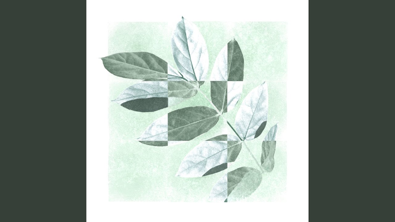 Watch Cosmic echo on YouTube Watch Cosmic echo on YouTube