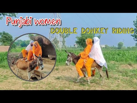 Punjabi women double donkey riding in village