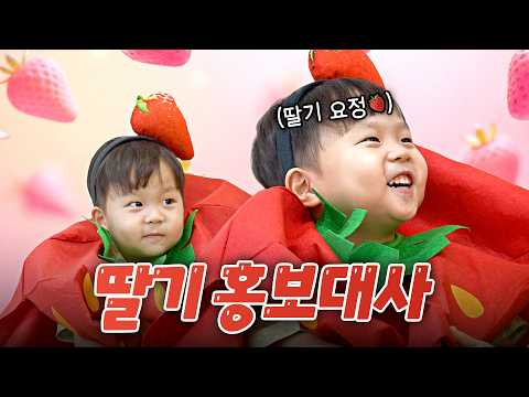 김준호·김은우·김정우 딸기 홍보대사 되다?🍓