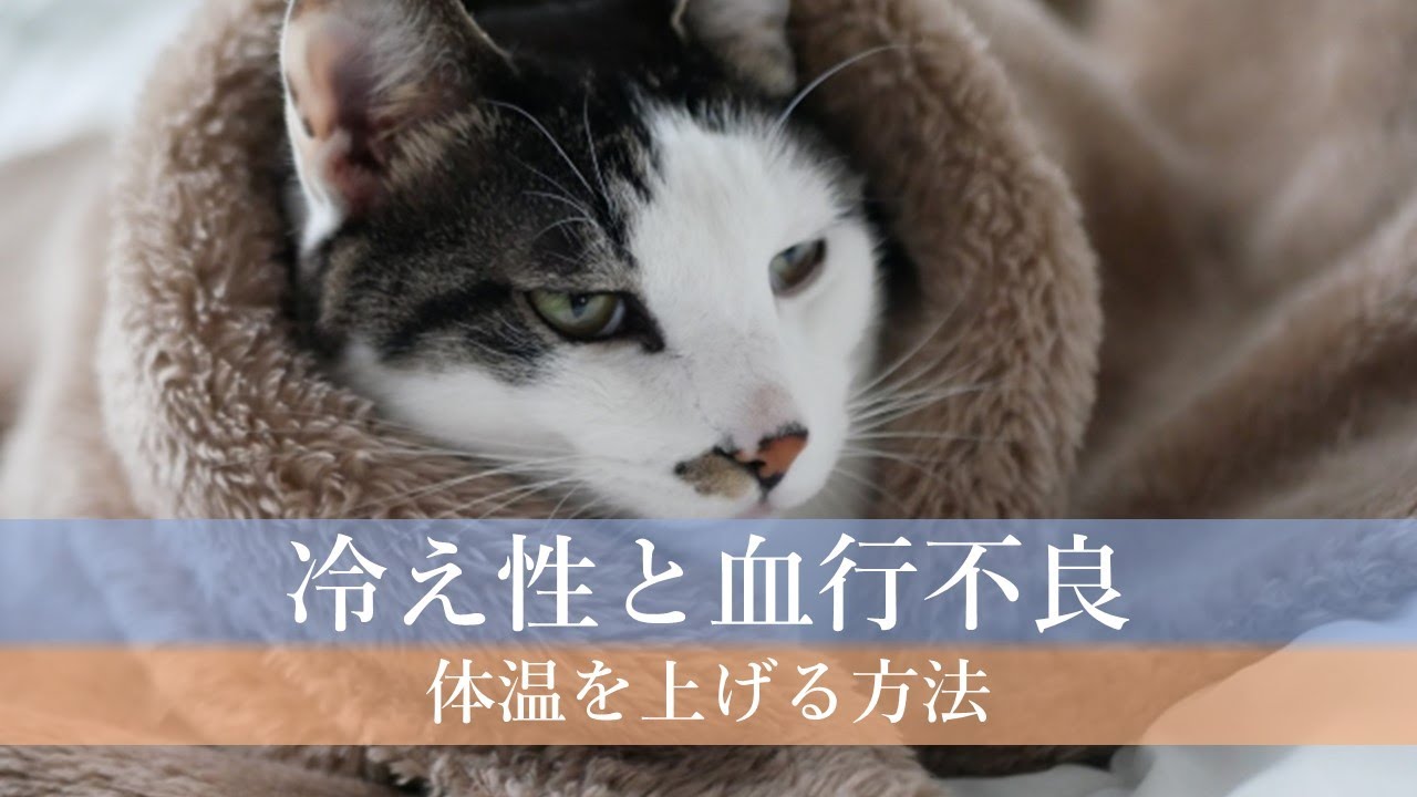 血行不良：症状と原因