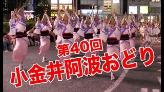 阿波おどり大会が40回目を迎えた武蔵小金井駅周辺の熱い7月29日 Youtube