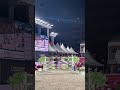 Show Jumping Perfection.