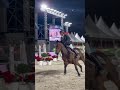 Show Jumping Perfection.