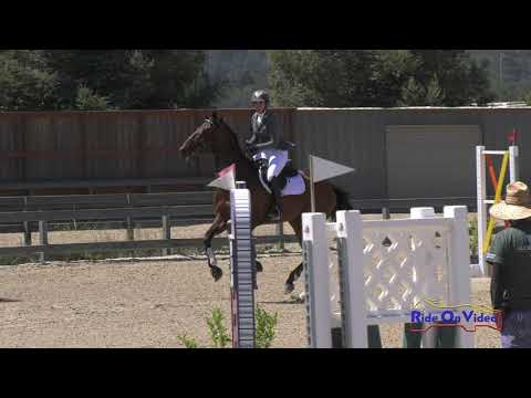 horseshoe bend 113S Stephanie Nicora on Highly Likely SR Training Show Jumping Woodside August 2019