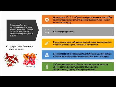 Бейне: Миоглобиннің оттегіге жақындығын төмендету көмектесе ме?