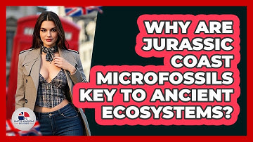 Why Are Jurassic Coast Microfossils Key To Ancient Ecosystems? - United Kingdom Explorers