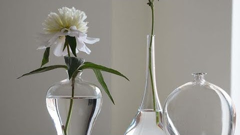 NGƯỜI ĐI TÌM HÌNH CỦA NƯỚC ❇️ THƠ CHẾ LAN VIÊN ❇️ TRÍCH PHIM “ BIỆT ĐỘNG SÀI GÒN”