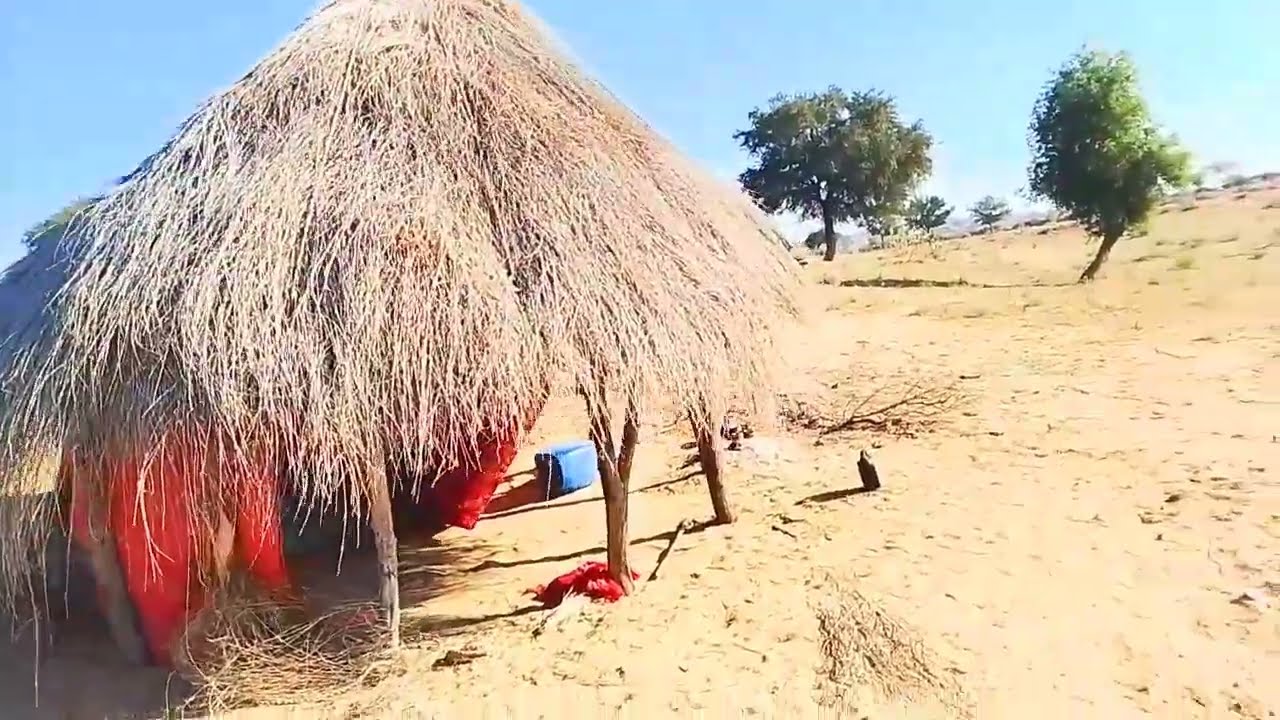 My first Vlog from DoedonTharparkar tower way toanimalform