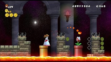 NSMBW Custom Level - Lep