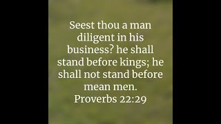Proverbs 22:29