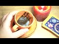 События 2-3х дней! О чем нужно знать прямо сейчас🌞💫 fortune telling on coffee