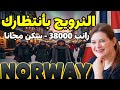 النرويج أسهل طرق الهجرة والعمل في أوروبا فيزا  المؤقته سجل فور ا 2025