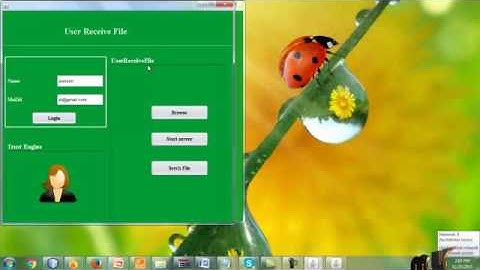 Trust Enhanced Cryptographic Role-based Access Control for Secure Cloud Data Storage