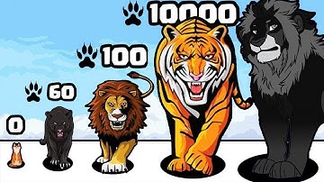 Cat Evolution Level Up Animals Funny Gameplay NOOB vs PRO vs HACKER vs GOD