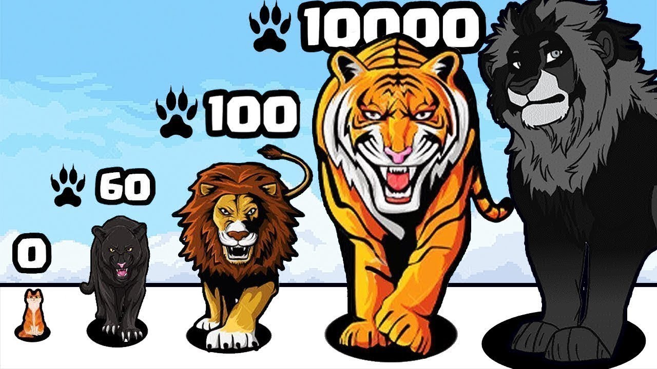 Cat Evolution Level Up Animals Funny Gameplay NOOB vs PRO vs HACKER vs GOD