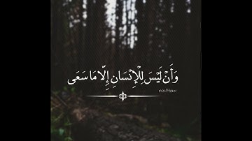 تلاوة مميزة 😴🎧 للشبل #علي_عبدالسلام