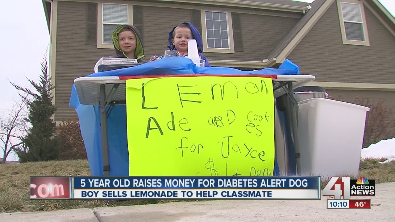 Kindergartner sells lemonade to raise money to buy friend a diabetes