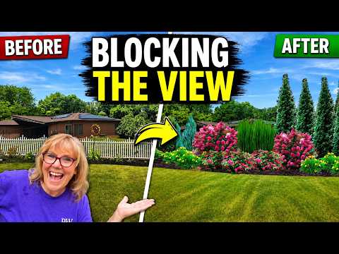 How to Block a Neighbor's View With Plants | Front Yard Landscape Design