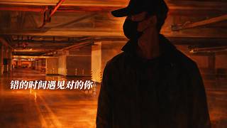 错的时间遇见对的你 (2026) - 林栖