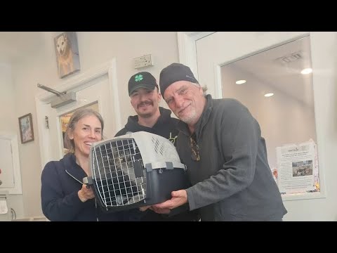 Cat missing for 10 years reunites with NJ family