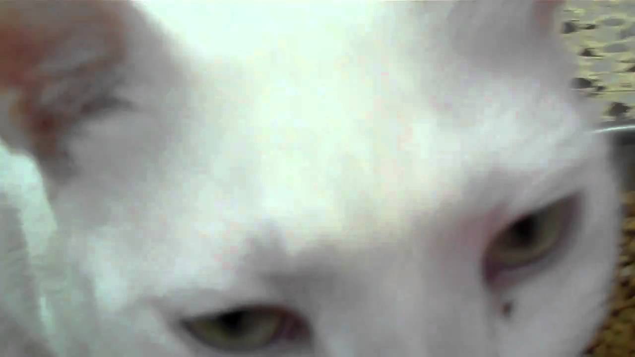 VID00150.MP4 - YouTube