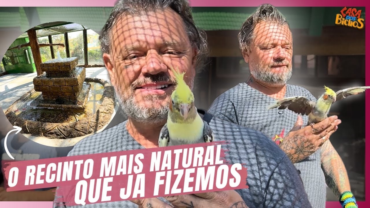 🏡 A NOVA CASA DAS AVES ESTÁ PRONTA! E elas amaram o resultado 😍