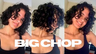 Big Chop Após 1 Ano E 1Mês De Transição Capilar Fotos