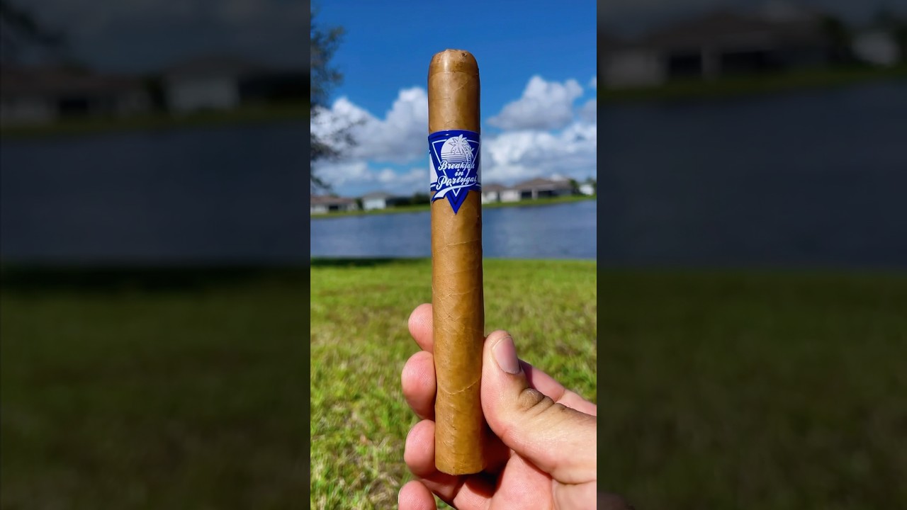 🍂💨 Room 101 Breakfast in Portugal💨🍂 