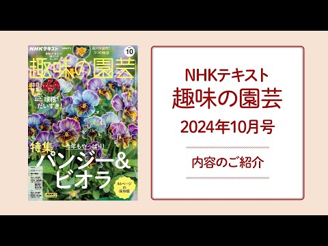 本まとめ売り 趣味の園芸 食彩浪漫 今日の健康 他 本まとめ売り 趣味の園芸 食彩浪漫 今日の健康 他 本まとめ売り