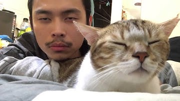 Asian guy with cat dancing to Drake Hotline Bling.