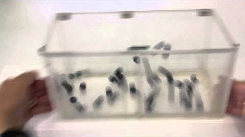 Temperature and Particle Speed