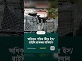 দুপুর দুটার আন্তর্জাতিক শিরোনাম#Banglanews #WorldNews #newsfeed #everyonefollowers