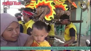 PECAK WELUT PERDANA MUDA