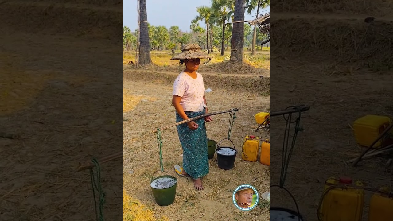 ယောသူတို့ရွာကို အလည်သွားရအောင်#yawland_ယောမြေ 