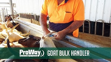 ProWay - Goat Bulk Handler