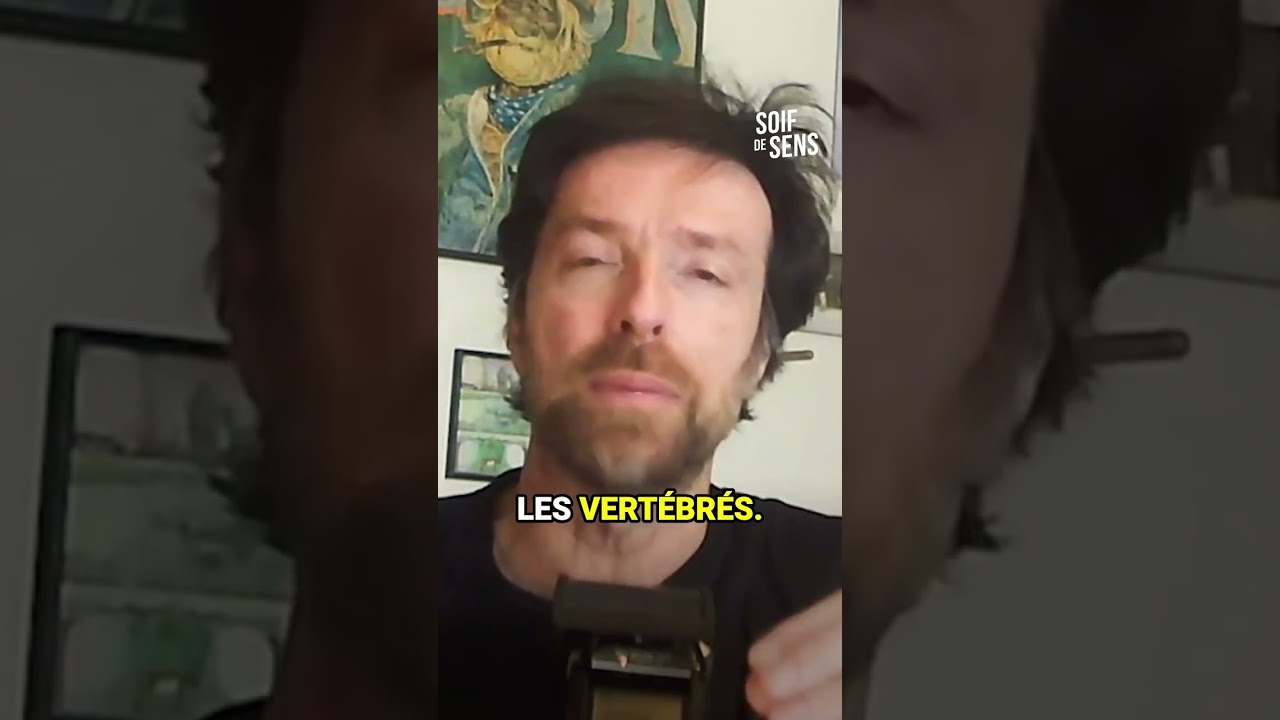 Le poisson-lune, un poisson record ! 100 MILLIONS d’œufs à chaque ponte !