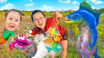 Changcady giúp đỡ đàn cá bị mắc kẹt ở đồng, bắt cá thả xuống hồ