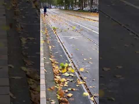 تصویر از پاییز